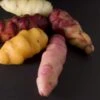 Oca Tubers -Plant And Fruit Tree Store Oca 77b52da5 0da9 4664 8365 3a9e54034672