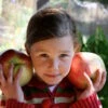 Wolf River Apple 2 Wolf River Apple -Plant And Fruit Tree Store Young girl with huge Wolf River apples Photo by Jan Mangan