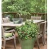 Bushel And Berry® Raspberry Shortcake® Raspberry -Plant And Fruit Tree Store bushel 1 1 1