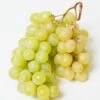 Himrod Seedless Grape -Plant And Fruit Tree Store himrod grape