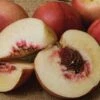 Spice Zee NectaPlum™ -Plant And Fruit Tree Store httpraintreenursery.netpc357 02