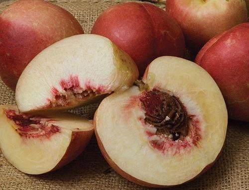 Spice Zee NectaPlum™ 3 Spice Zee NectaPlum™