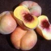 Sweet Bagel Peach -Plant And Fruit Tree Store httpraintreenursery.netpc545 peach