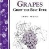 Great Grapes 2 Great Grapes -Plant And Fruit Tree Store httpraintreenursery.netps180