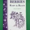 Berries/ Rasp & Black 1 Berries/ Rasp & Black -Plant And Fruit Tree Store image a6ef32cc b5e4 4ec3 8840 e53650b82ba5 1