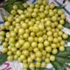 Colossal Gooseberry 2 Colossal Gooseberry -Plant And Fruit Tree Store shutterstock 1811261533 1 1