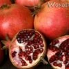 Wonderful Pomegranate -Plant And Fruit Tree Store wonderful