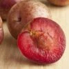 Combo Zee Sweet Pluot Tree (3 Varieties) 2 Combo Zee Sweet Pluot Tree (3 Varieties) -Plant And Fruit Tree Store zee sweet pluot